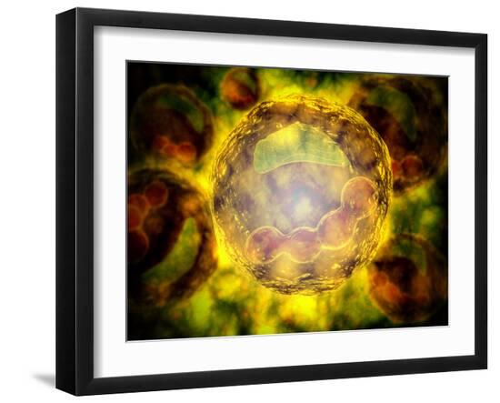 Photographic Print, , large