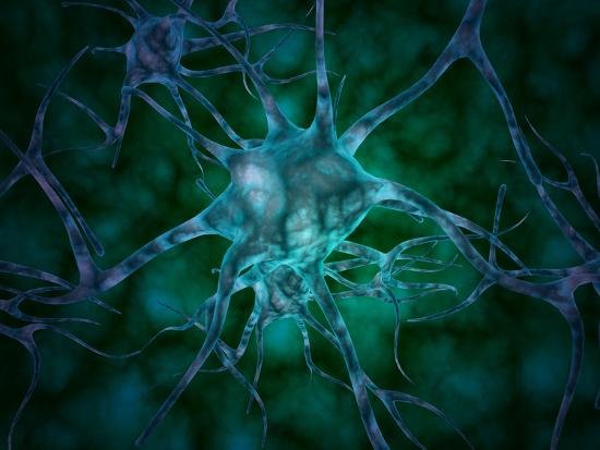 Photographic Print, , large