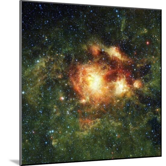 Photographic Print, , large