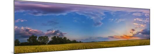 Photographic Print, , large