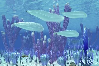 Pikaia Fish Swim Along with Trilobite Invetebrates During the Cambrian Period