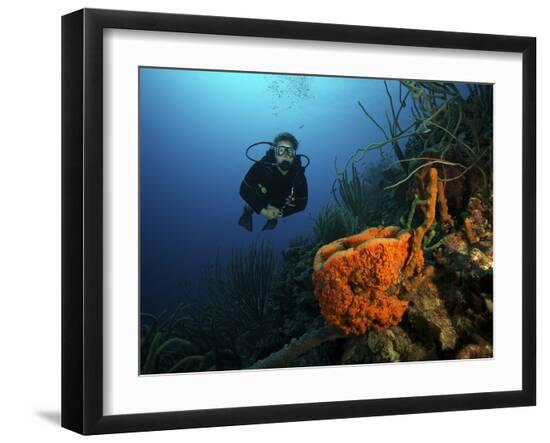 Photographic Print, , large