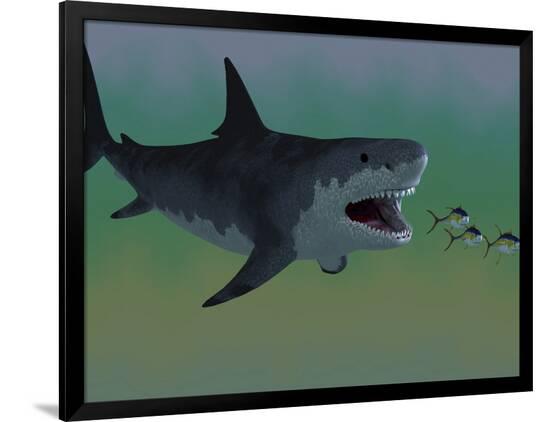 Photographic Print, , large