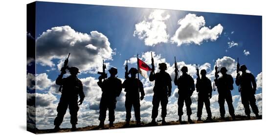 Stretched Canvas Print, , large