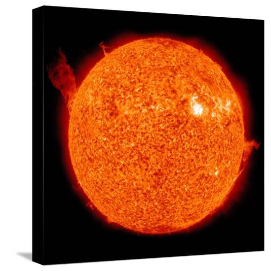 Stretched Canvas Print, , large