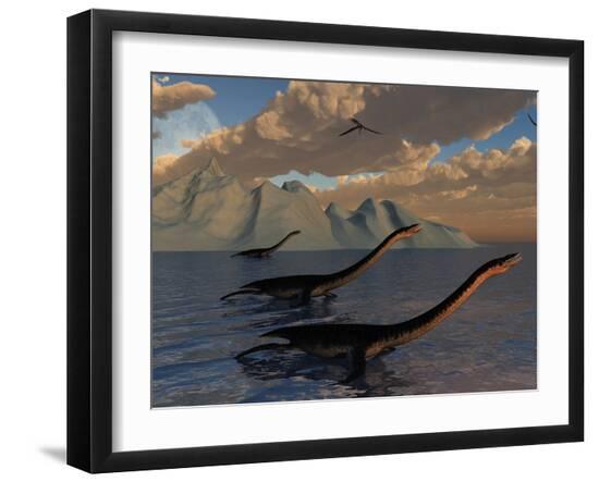 Photographic Print, , large