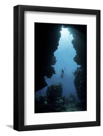 Premium Photographic Print, , large