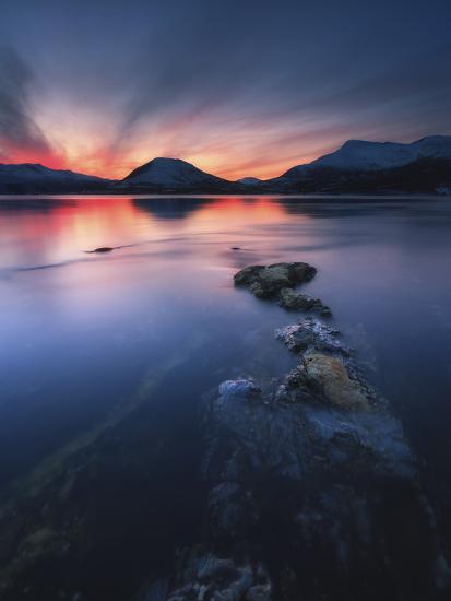 Premium Photographic Print, , large