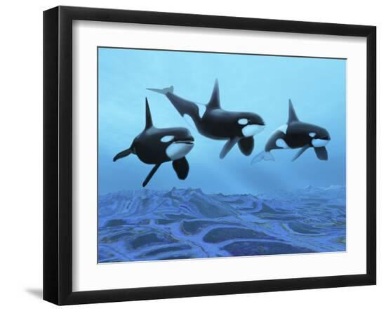 Photographic Print, , large