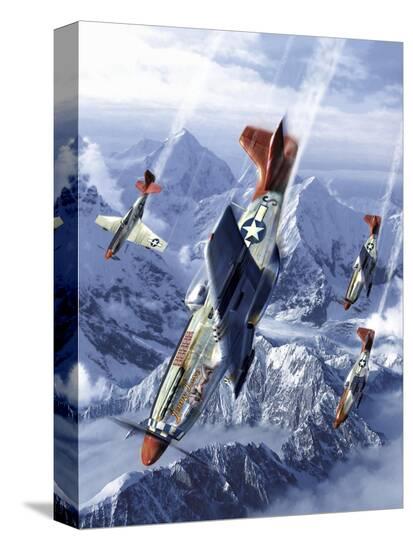 Stretched Canvas Print, , large