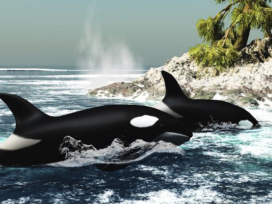 Photographic Print, , large