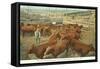 Stockyards, Chicago, Illinois-null-Framed Stretched Canvas