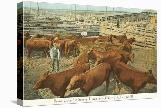 Stockyards, Chicago, Illinois-null-Stretched Canvas