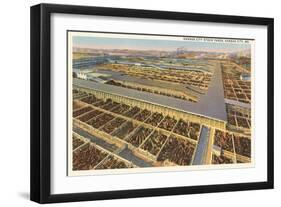 Stockyards, Kansas City, Missouri-null-Framed Art Print