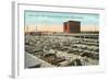 Stockyards, Omaha, Nebraska-null-Framed Art Print