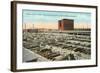 Stockyards, Omaha, Nebraska-null-Framed Art Print