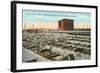 Stockyards, Omaha, Nebraska-null-Framed Art Print