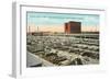 Stockyards, Omaha, Nebraska-null-Framed Art Print