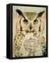 Stoic Owl-Z Studio-Framed Stretched Canvas