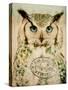 Stoic Owl-Z Studio-Stretched Canvas