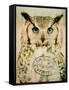 Stoic Owl-Z Studio-Framed Stretched Canvas