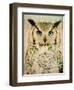 Stoic Owl-Z Studio-Framed Art Print