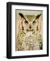 Stoic Owl-Z Studio-Framed Art Print