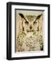 Stoic Owl-Z Studio-Framed Art Print