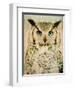 Stoic Owl-Z Studio-Framed Art Print