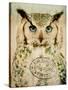 Stoic Owl-Z Studio-Stretched Canvas