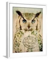 Stoic Owl-Z Studio-Framed Art Print