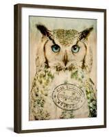 Stoic Owl-Z Studio-Framed Art Print