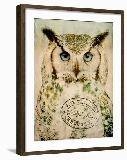 Stoic Owl-Z Studio-Framed Art Print