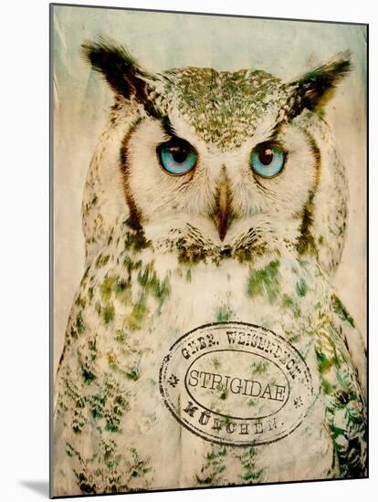 Stoic Owl-Z Studio-Mounted Art Print