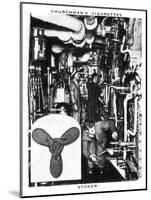 Stoker, 1937-WA & AC Churchman-Mounted Giclee Print