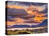 Stokksnes Lagoon, Iceland-John Ford-Stretched Canvas