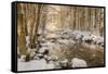 Stolen Beauty-Philippe Sainte-Laudy-Framed Stretched Canvas