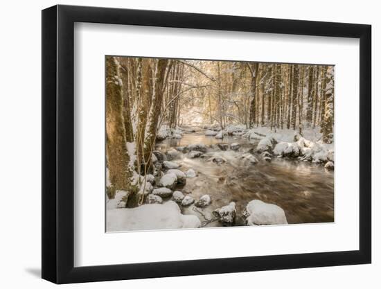 Stolen Beauty-Philippe Sainte-Laudy-Framed Photographic Print