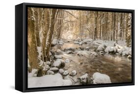 Stolen Beauty-Philippe Sainte-Laudy-Framed Stretched Canvas
