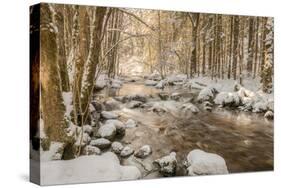 Stolen Beauty-Philippe Sainte-Laudy-Stretched Canvas