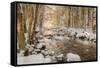 Stolen Beauty-Philippe Sainte-Laudy-Framed Stretched Canvas