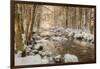 Stolen Beauty-Philippe Sainte-Laudy-Framed Photographic Print