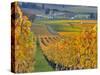 Stoller Vineyard, Dundee, Yamhill County, Willamette Valley, Oregon, Usa-Janis Miglavs-Stretched Canvas