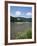 Stolzenfels Castle, Near Koblenz, Rhine Valley, Germany-Hans Peter Merten-Framed Photographic Print