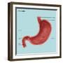 Stomach Ulcers, Illustration-Gwen Shockey-Framed Giclee Print