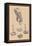 Stomach-Andreas Vesalius-Framed Stretched Canvas