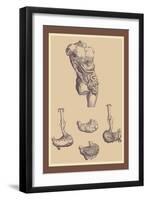 Stomach-Andreas Vesalius-Framed Art Print