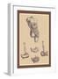 Stomach-Andreas Vesalius-Framed Art Print