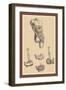 Stomach-Andreas Vesalius-Framed Art Print