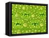 Stomata on Rice Plant Leaf-Micro Discovery-Framed Stretched Canvas